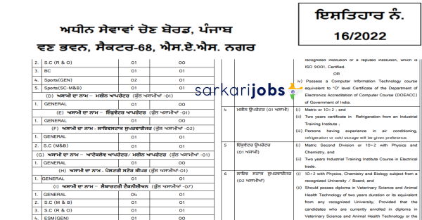 SSSB Punjab Recruitment 2025 for 1360+ Jail Warders, Forest Guards, Clerks, Wardens, Assistants and Other Vacancies